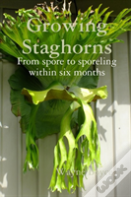 Growing Staghorns From Spore