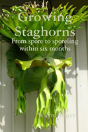 Growing Staghorns From Spore - Preview