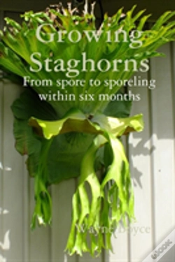 Capa do artigo Growing Staghorns From Spore