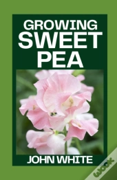 Growing Sweet Pea