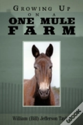 Growing Up On A One Mule Farm