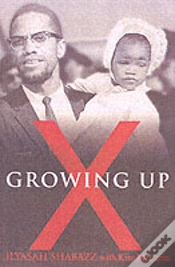 Capa do artigo Growing Up X