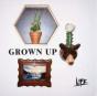 Grown Up - Vinil - Preview