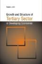 Growth And Structure Of Tertiary Sector In Developing Economies - Preview