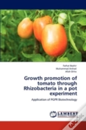 Growth Promotion Of Tomato Through Rhizobacteria In A Pot Experiment