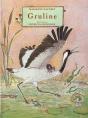 Gruline - Preview