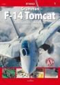 Grumman F-14 Tomcat - Preview