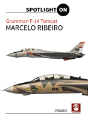 Grumman F-14 Tomcat - Preview