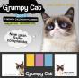 Grumpy Cat Its All Downhill From Here - Preview