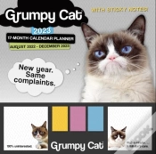 Capa do artigo Grumpy Cat Its All Downhill From Here