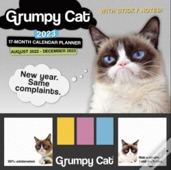 Capa do artigo Grumpy Cat Its All Downhill From Here