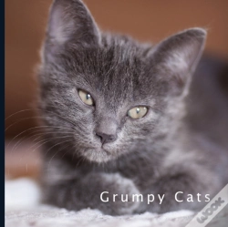 Capa do artigo Grumpy Cats