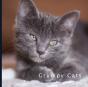 Grumpy Cats - Preview