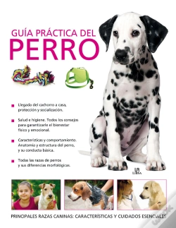 Capa do artigo Gu¡A Práctica Del Perro