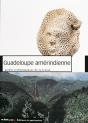 Guadeloupe Amérindienne - Preview