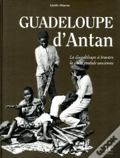 Capa do artigo Guadeloupe D