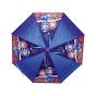 Guarda-Chuva Automático 41Cm Luccas Neto Os Aventureiros Ln9002 - Preview