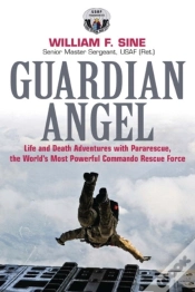 Capa do artigo Guardian Angel