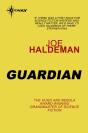 Guardian - Preview