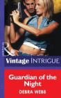Guardian Of The Night - Preview