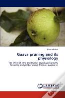 Guava Pruning And Its Physiology