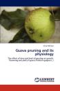Guava Pruning And Its Physiology - Preview