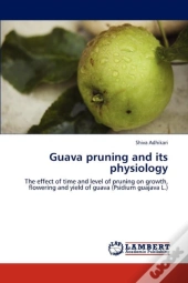 Guava Pruning And Its Physiology