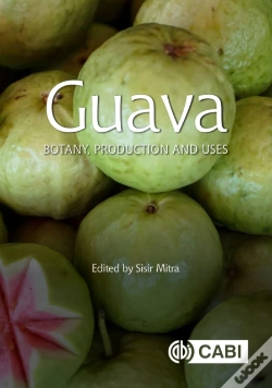 Capa do artigo Guava