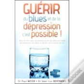 Capa do artigo Guérir Du Blues Et De La Dépression, C