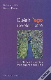 Capa do artigo Guérir L