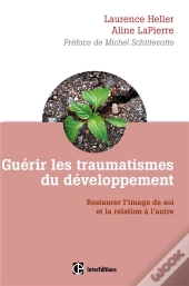 Guérir Les Traumatismes Du Développement ; Restaurer L'Image De Soi Et La Relation À L'Autre