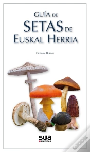 Capa do artigo Guia De Setas De Euskal Herria