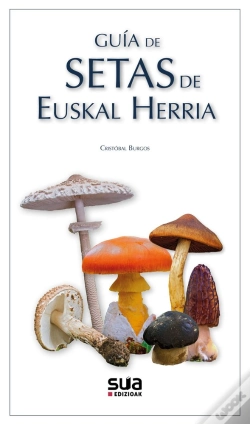 Capa do artigo Guia De Setas De Euskal Herria