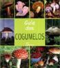 Guia dos Cogumelos - Preview