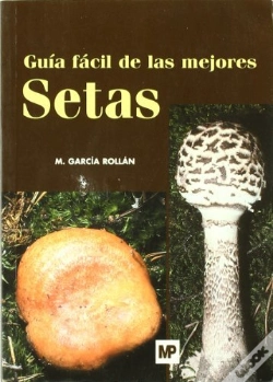 Capa do artigo Guía Fácil De Las Mejores Setas