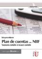 Guía Para Elaborar Plan De Cuentas Con Niif - Preview