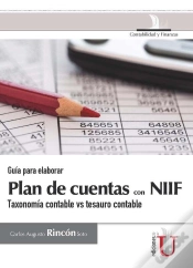 Capa do artigo Guía Para Elaborar Plan De Cuentas Con Niif