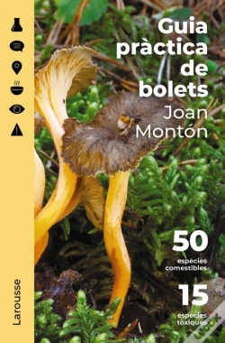Capa do artigo Guia Pràctica De Bolets