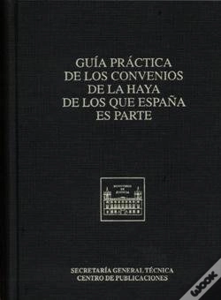 Capa do artigo Guía Práctica De Los Convenios De La Haya De Los Que España Es Parte