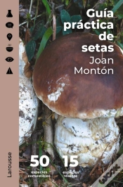 Capa do artigo Guía Práctica De Setas