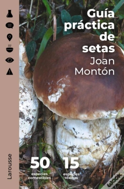 Capa do artigo Guía Práctica De Setas