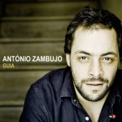 Capa do artigo Guia - Vinil