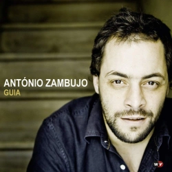 Capa do artigo Guia - Vinil