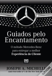Capa do artigo Guiados Pelo Encantamento