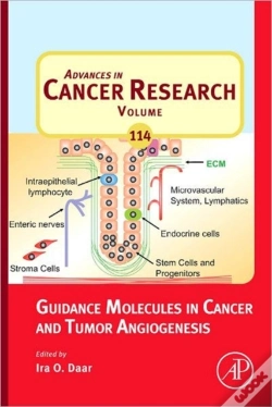 Capa do artigo Guidance Molecules In Cancer And Tumor Angiogenesis