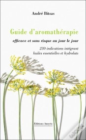 Capa do artigo Guide D