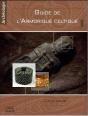 Guide De L'Armorique Celtique - Preview