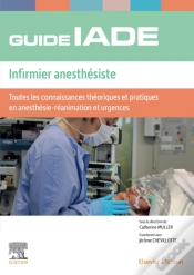 Capa do artigo Guide De L
