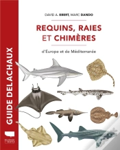 Capa do artigo Guide Delachaux : Requins, Raies Et Chimères D