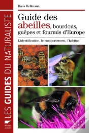 Capa do artigo Guide Des Abeilles, Guepes, Bourdons